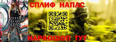 2c-b Пугачёв