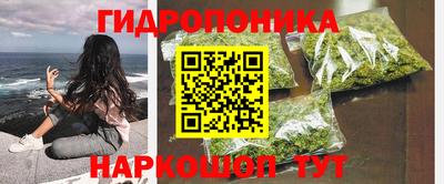 стаф Пушкино